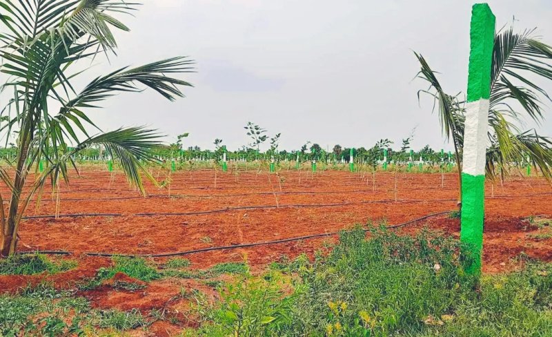  Agricultural Land 9600 Sq.ft. for Sale in Ecr To Marakanam Road, Chennai