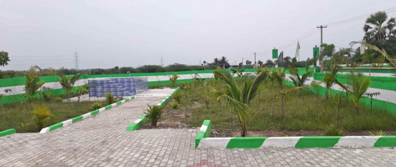  Agricultural Land 10000 Sq.ft. for Sale in Acharapakkam, Chengalpattu