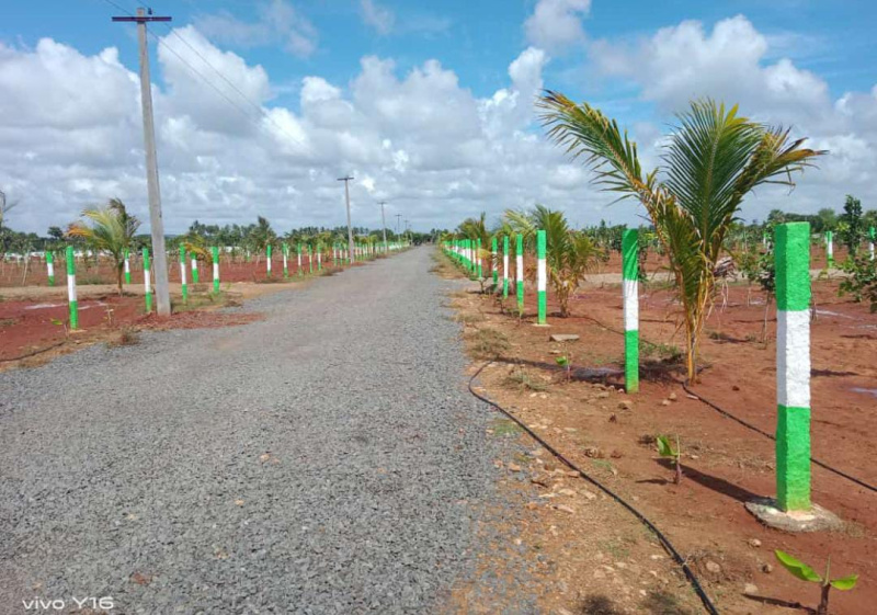  Agricultural Land 10000 Sq.ft. for Sale in Madhurandagam, Chennai