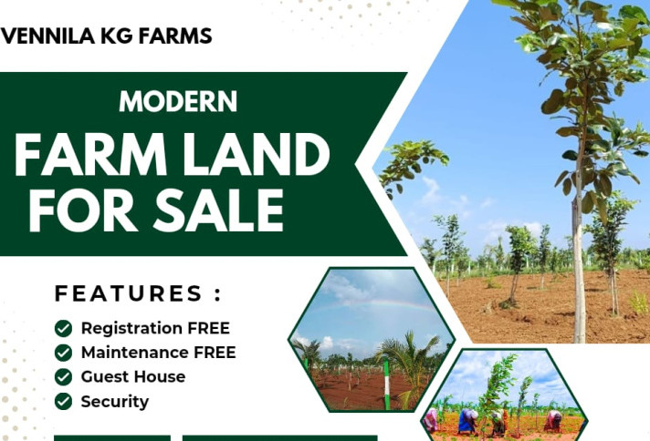  Agricultural Land 9600 Sq.ft. for Sale in Virugambakkam, Chennai