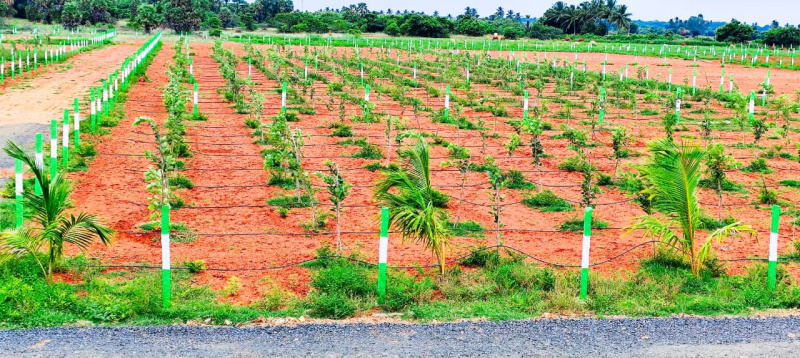  Agricultural Land 10000 Sq.ft. for Sale in Marakkanam, Villupuram