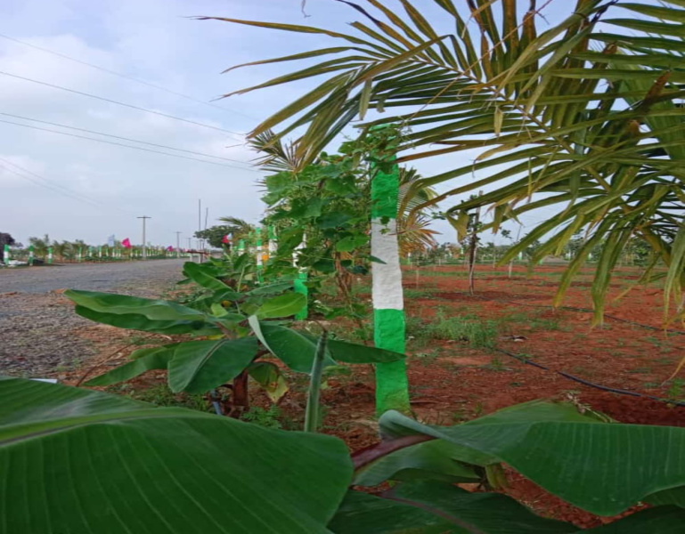  Agricultural Land 10000 Sq.ft. for Sale in Melmaruvathur, Chennai