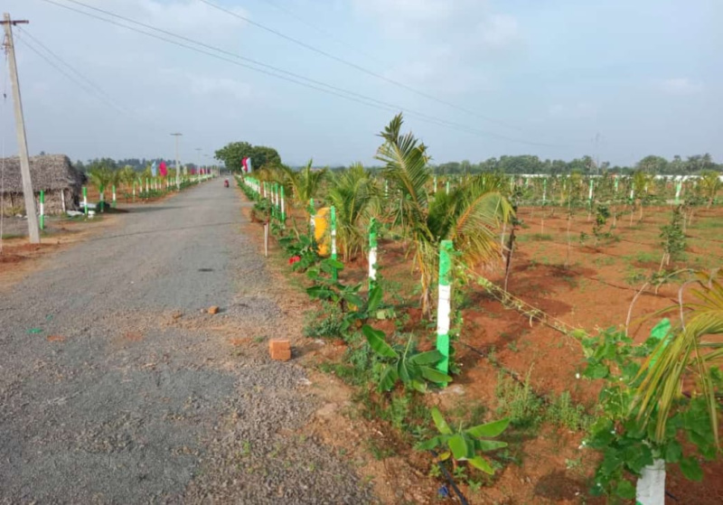  Agricultural Land 10000 Sq.ft. for Sale in Melmaruvathur, Chennai