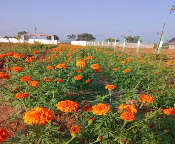  Agricultural Land 10000 Sq.ft. for Sale in Madhurandagam, Chennai