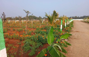  Agricultural Land for Sale in Maiyur, Chengalpattu