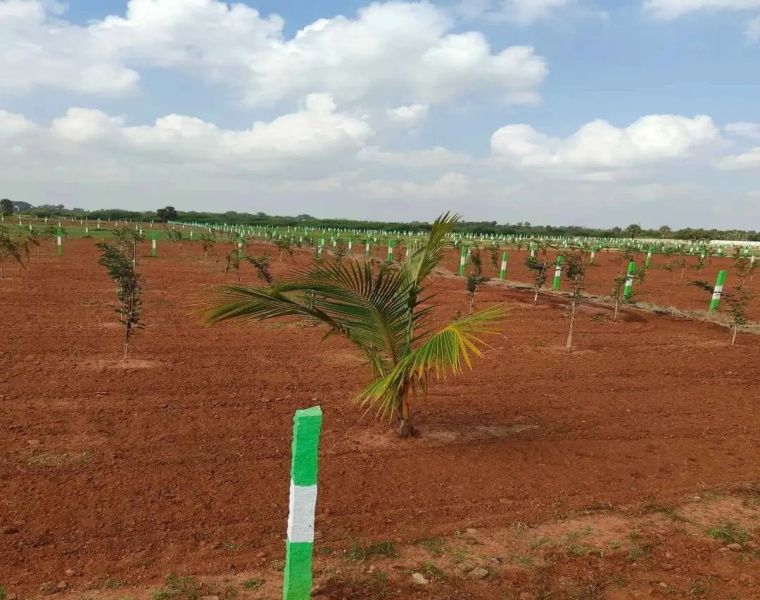  Agricultural Land 9600 Sq.ft. for Sale in Ecr To Marakanam Road, Chennai