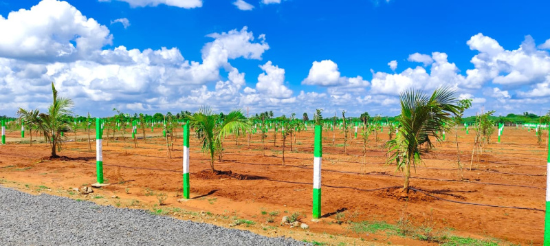  Agricultural Land 10000 Sq.ft. for Sale in Madambakkam, Chennai