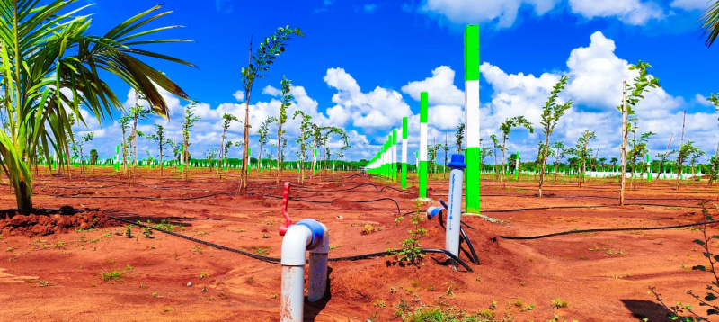  Agricultural Land 9600 Sq.ft. for Sale in Madhurandagam, Chennai