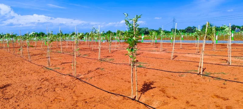  Agricultural Land 9600 Sq.ft. for Sale in Madhurandagam, Chennai