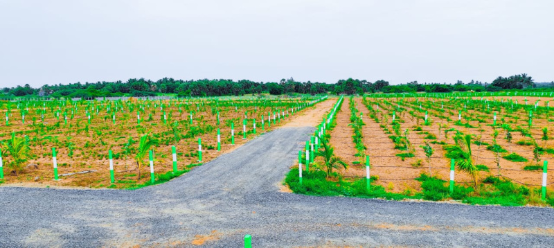  Agricultural Land 22 Cent for Sale in Kalapet, Pondicherry