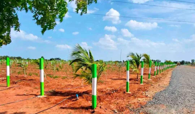  Agricultural Land 10000 Sq.ft. for Sale in Kalapet, Pondicherry