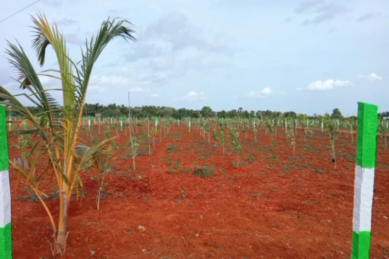  Agricultural Land 23 Cent for Sale in Kalapet, Pondicherry