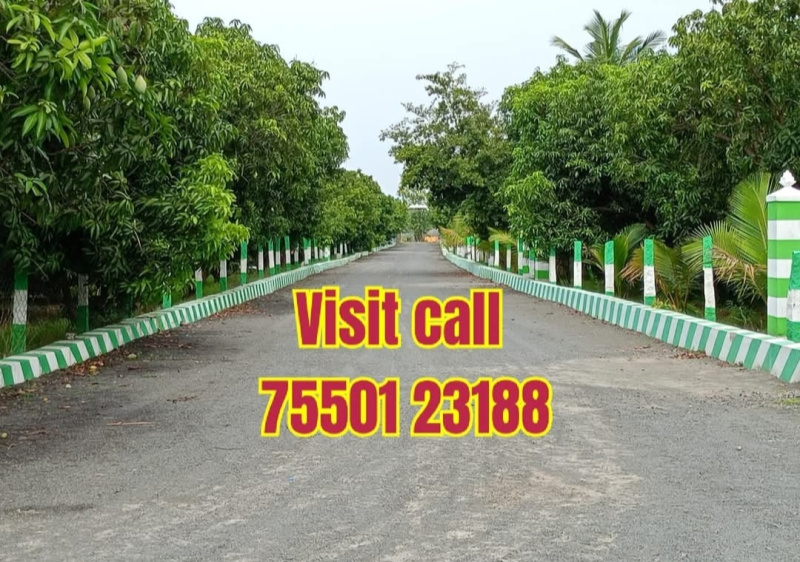  Agricultural Land 9800 Sq.ft. for Sale in Maduranthakam, Chengalpattu