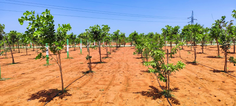  Agricultural Land 21 Cent for Sale in Cheyyur, Chengalpattu