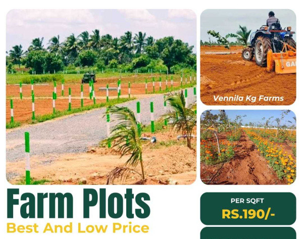  Agricultural Land 10000 Sq.ft. for Sale in Ecr To Marakanam Road, Chennai