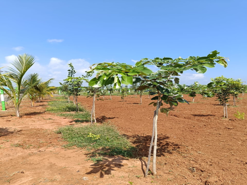  Agricultural Land 9600 Sq.ft. for Sale in Edaikazhinadu, Kanchipuram