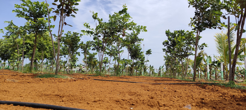  Agricultural Land 10000 Sq.ft. for Sale in Chithamur, Kanchipuram