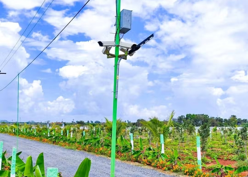  Agricultural Land 10000 Sq.ft. for Sale in Maduranthakam, Chengalpattu
