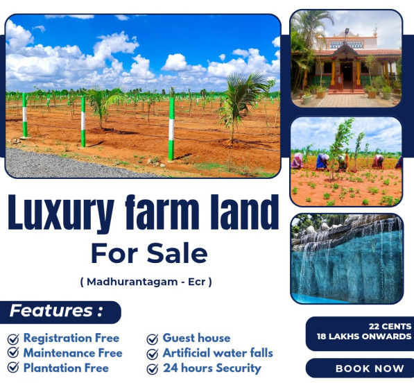 Agricultural Land 10000 Sq.ft. for Sale in Maduranthakam, Chengalpattu