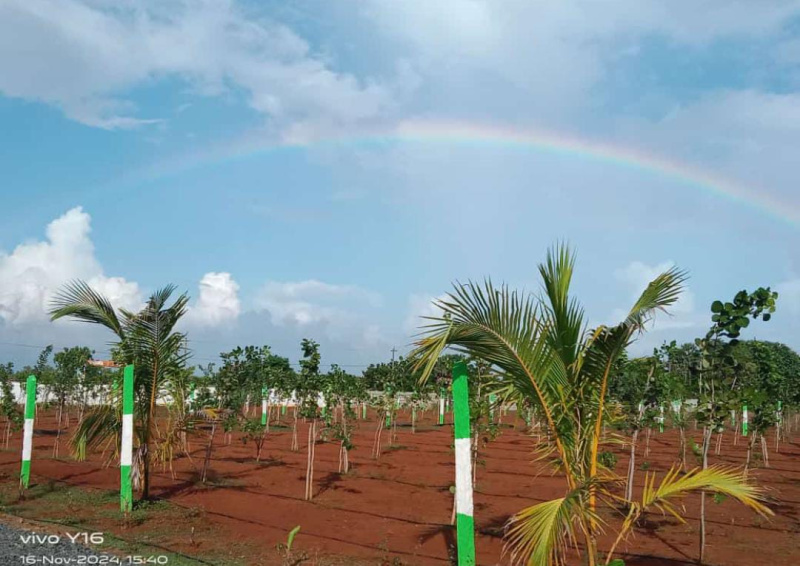  Agricultural Land 9900 Sq.ft. for Sale in Edaikazhinadu, Kanchipuram