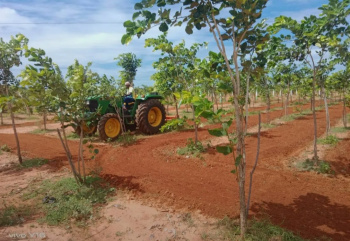  Agricultural Land for Sale in Velachery, Chennai