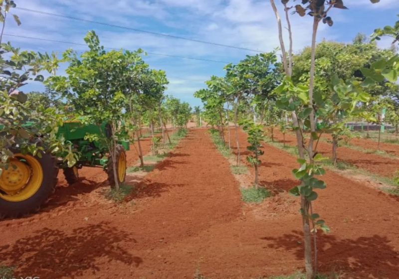  Agricultural Land 10000 Sq.ft. for Sale in Velachery, Chennai