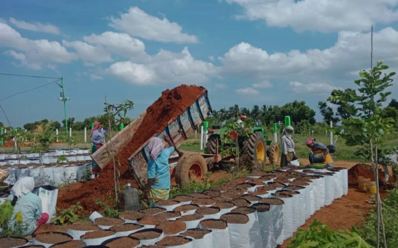  Agricultural Land 10000 Sq.ft. for Sale in Velachery, Chennai