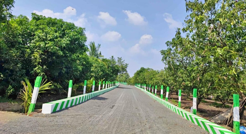  9600 Sq.ft. Agricultural/Farm Land for Sale in Acharapakkam, Chengalpattu