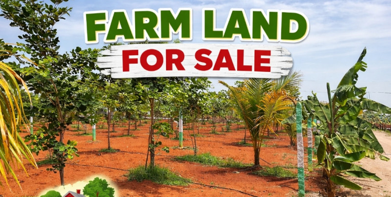  9800 Sq.ft. Agricultural/Farm Land for Sale in Melmaruvathur, Chennai