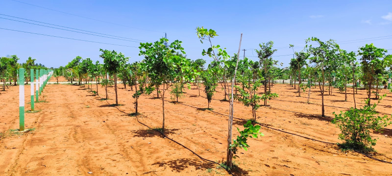  9800 Sq.ft. Agricultural/Farm Land for Sale in Melmaruvathur, Chennai