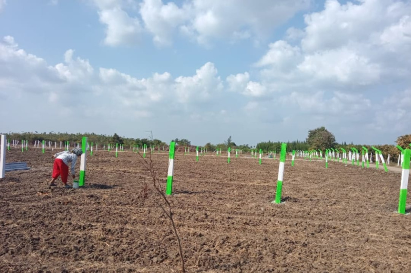  10000 Sq.ft. Agricultural/Farm Land for Sale in Mamandur, Chengalpattu