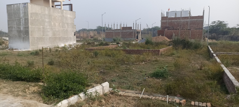  Residential Plot 900 Sq.ft. for Sale in Naramau, Kanpur