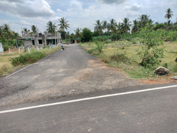  Residential Plot for Sale in Virattipathu, Madurai