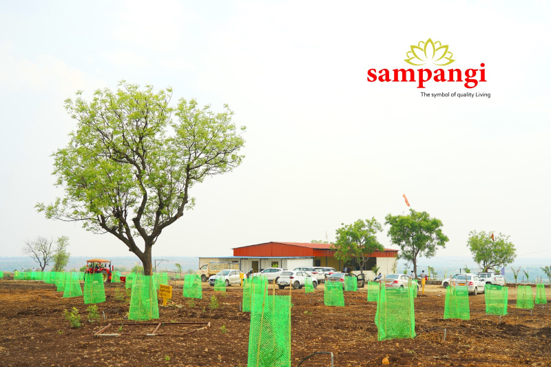  Agricultural Land 605 Sq. Yards for Sale in Narayankhed, Sangareddy