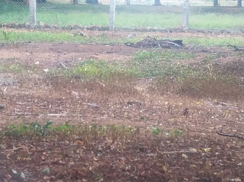  Agricultural Land for Sale in Perumanallur, Tirupur