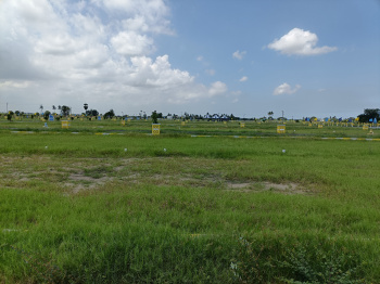  Residential Plot for Sale in Ponneri, Thiruvallur