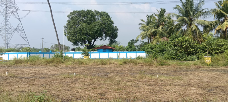  Residential Plot 1193 Sq.ft. for Sale in Karanodai, Chennai