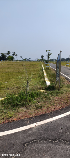  Residential Plot 800 Sq.ft. for Sale in Ponneri, Thiruvallur