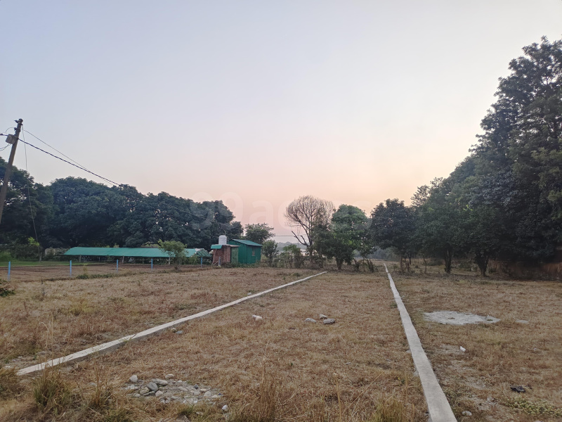  Residential Plot 1800 Sq. Yards for Sale in Selakui, Dehradun