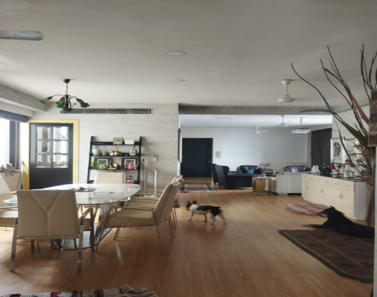 4 BHK 3750 Sq.ft. Apartment for Sale in Alipore, Kolkata