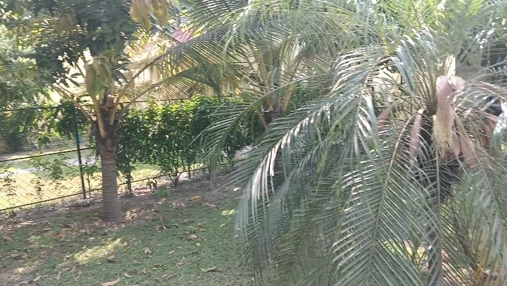 3 BHK 2400 Sq.ft. House for Sale in Rajarhat, Kolkata