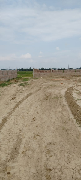  Residential Plot 1200 Sq.ft. for Sale in Bihta, Patna