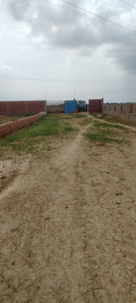  Residential Plot 1200 Sq.ft. for Sale in Bihta, Patna