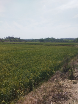  Agricultural Land for Sale in S.B.S. Nagar, Nawanshahr