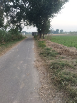  Agricultural Land for Sale in S.B.S. Nagar, Nawanshahr