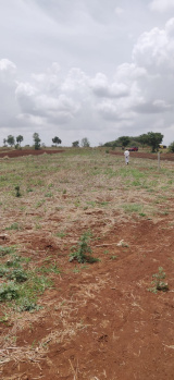  Agricultural Land for Sale in Pudur, Rangareddy