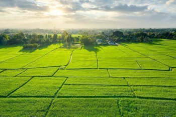  Agricultural Land for Sale in Amravati Road, Nagpur