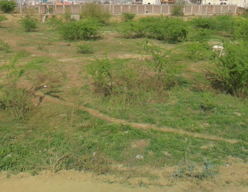  Residential Plot for Sale in Sector 10, Bahadurgarh