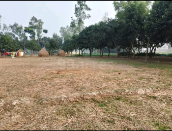  Residential Plot for Sale in Kaliaganj, Uttar Dinajpur