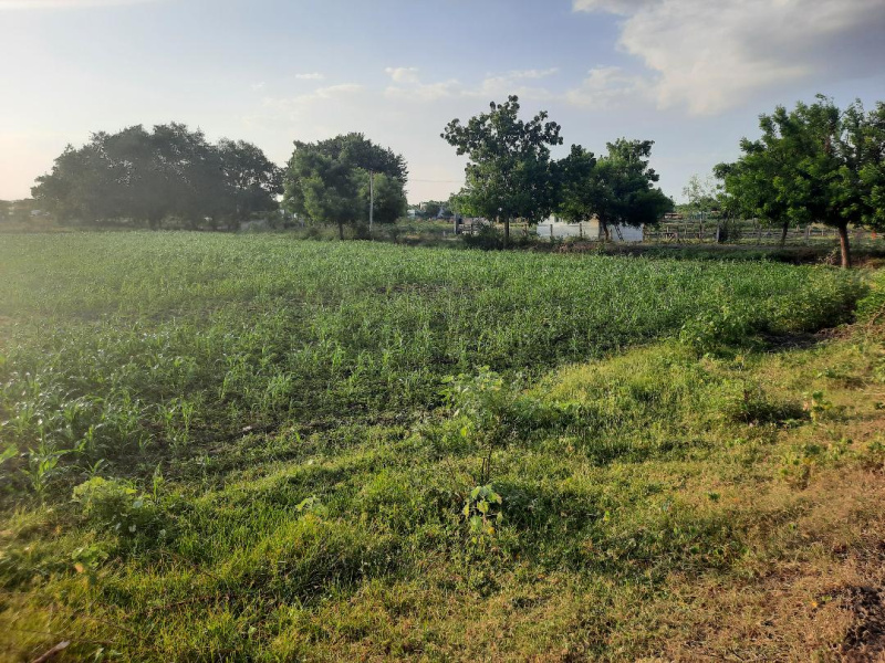  Agricultural Land 1 Acre for Sale in Aruppukkottai, Virudhunagar